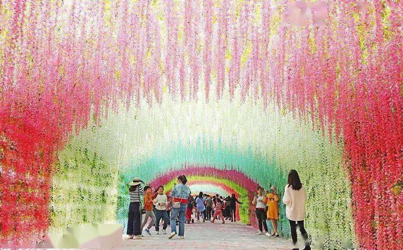 明星·空降蓬溪天福万象,10月1日花海旅游节,盛大开幕!