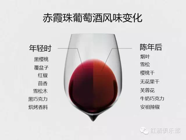 Red|5步精准“把脉”：预测葡萄酒储藏能力不再难！