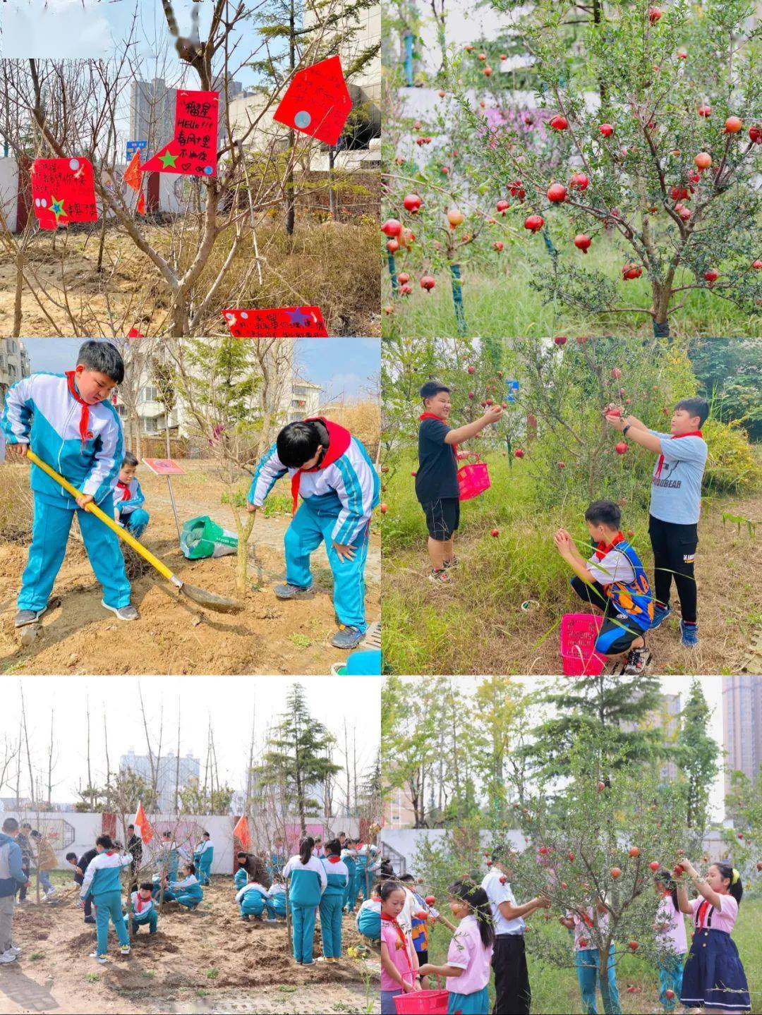 丰收中国走进沛县泗水小学耕读园