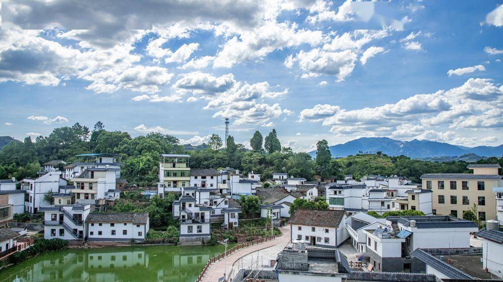 走進韶關樂昌市坪石鎮仁裡村,乾淨整潔的瀝青道路映入眼簾,一棟棟白牆