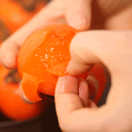 秋天的柿子有讲究