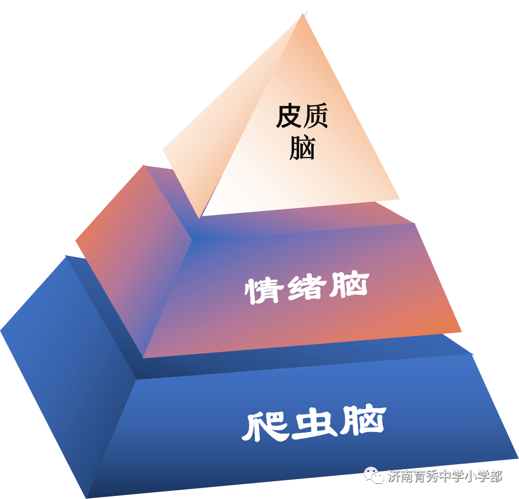 7eec188f6a7e4d17ad7f67bae61f1c0b.png