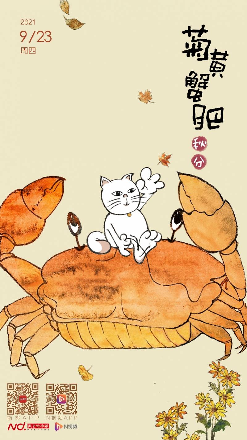 张博南方都市报一周海报精选（2021年第29期）