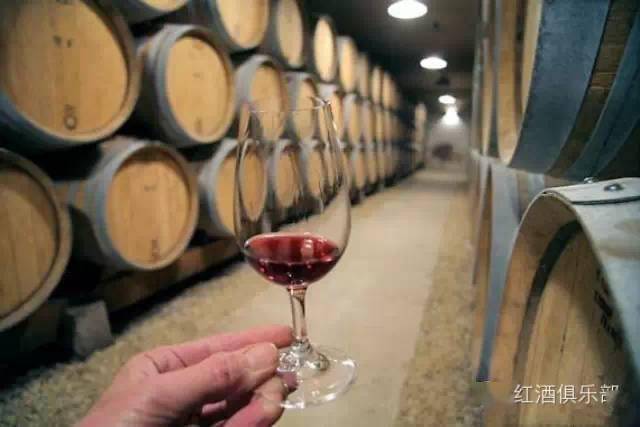 Red|5步精准“把脉”：预测葡萄酒储藏能力不再难！