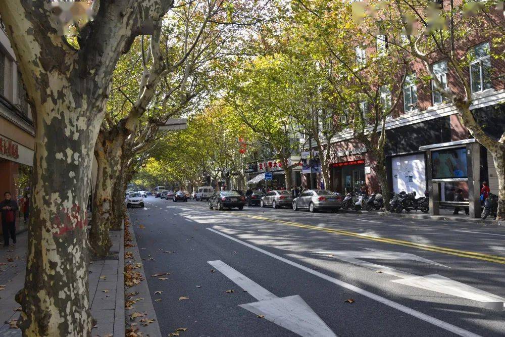 探索申城15个林荫片区助你对抗秋老虎附地图