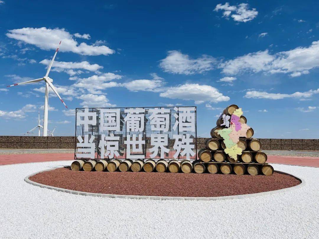 葡萄|慢沽佳酿醉成诗——贺兰山东麓葡萄酒产区成长之路