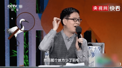 显示丹顶鹤的丹顶是因为脱发造成的？网友：原来脱发也可以很好看