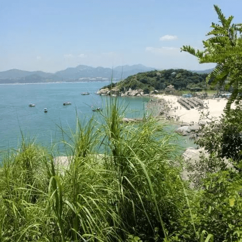 五寨县纪委监委：持续纠“四风” 廉洁过“两节”_监督