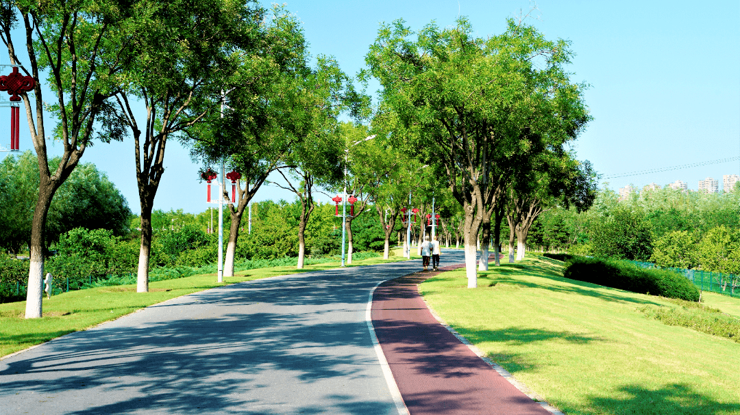 城市"边角料"地块都化身"小游园"公共绿地,少了私搭乱建和风险隐患,多