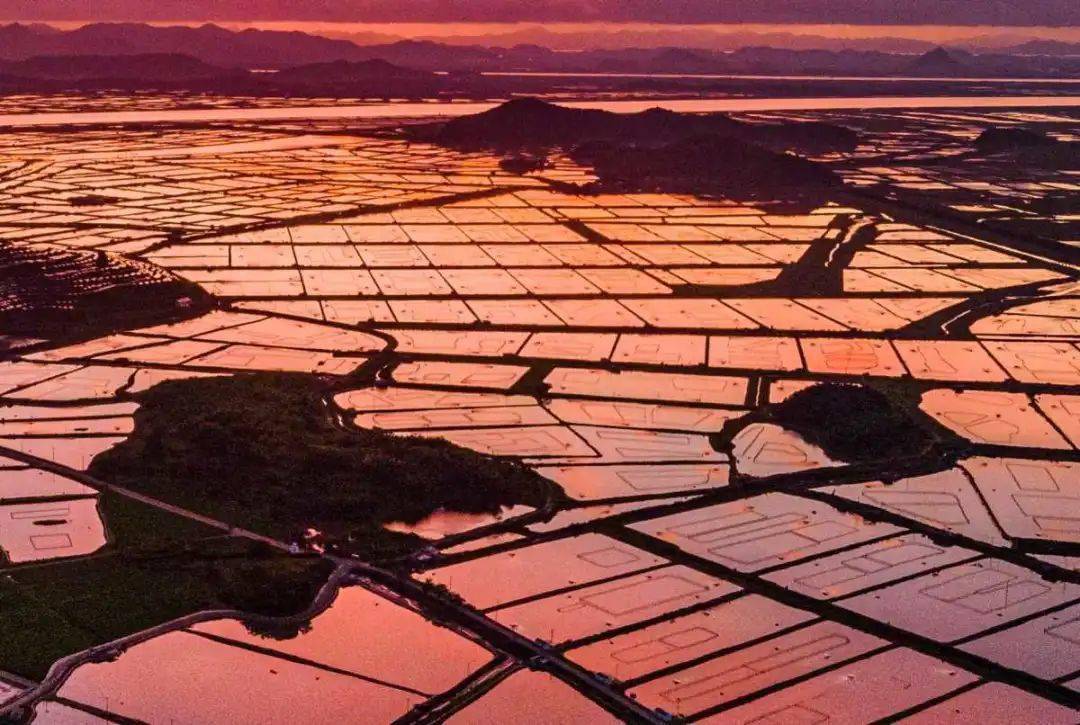 藏不住了一定要去宁海这里看一次日出与沧海桑田