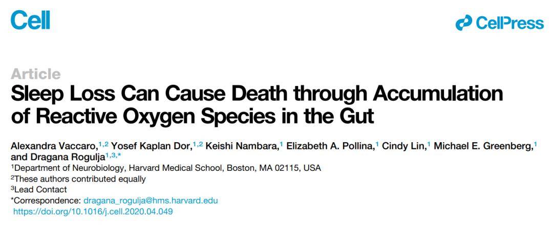 团队|Cell：熬夜致死，原因不在大脑，而在肠道中活性氧的积累