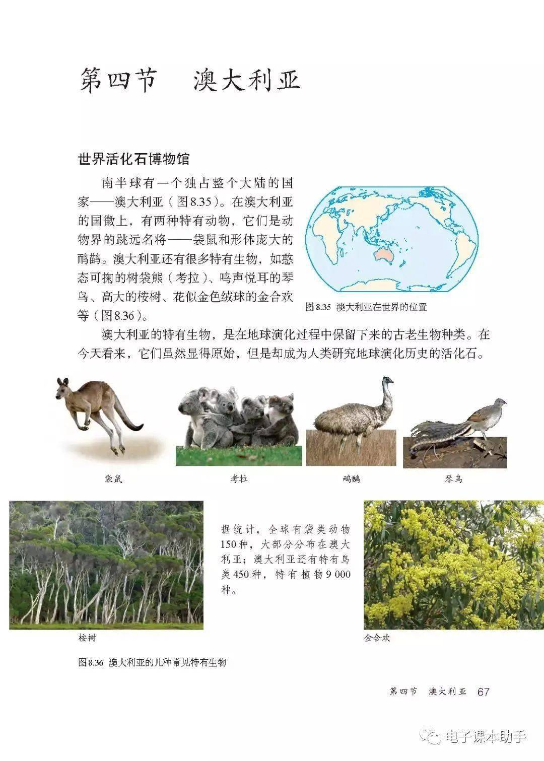 临渊羡鱼完整版全集 ac6fa87981b2400aa69a20426185a84e.jpeg