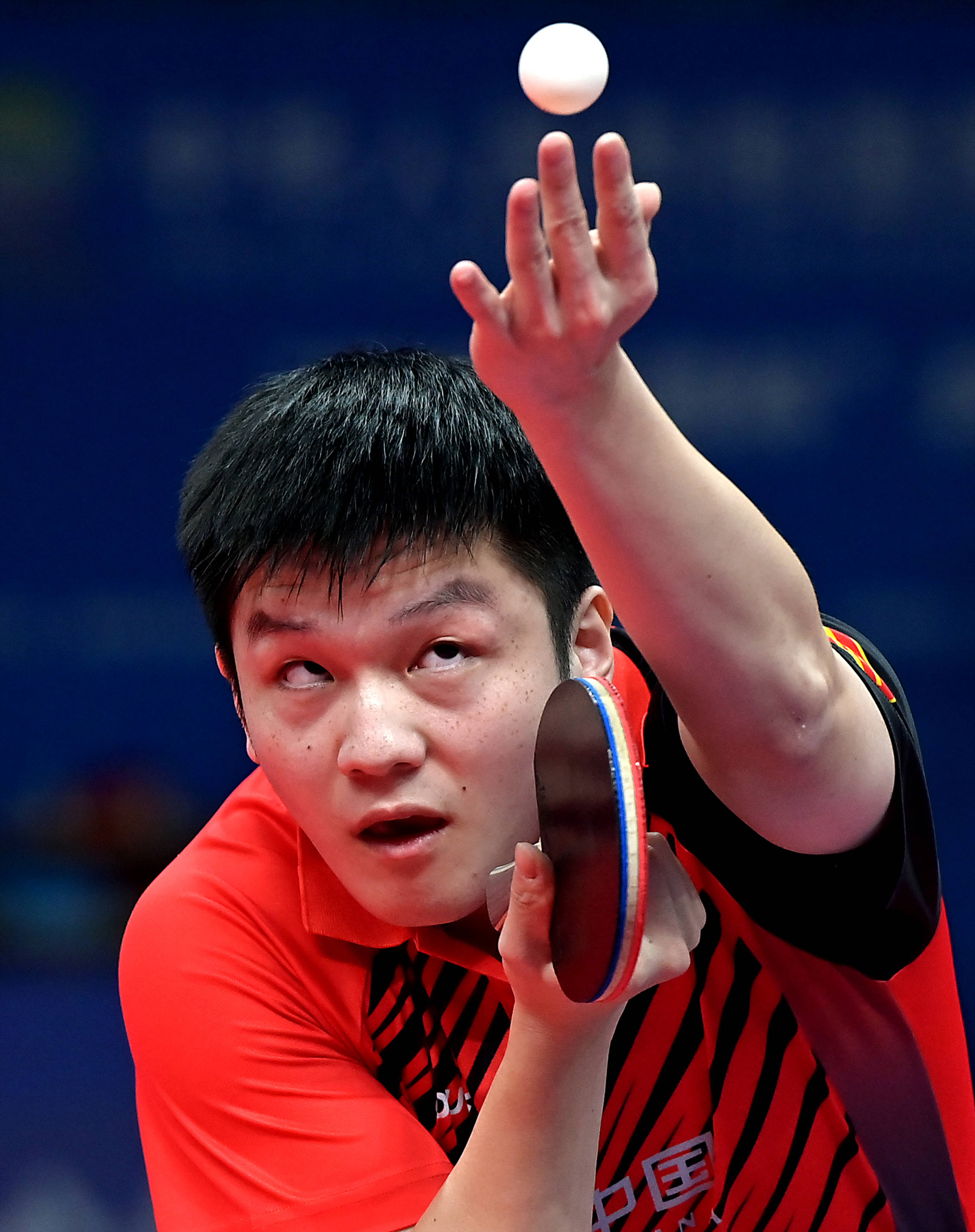 乒乓球男子单打半决赛樊振东晋级决赛