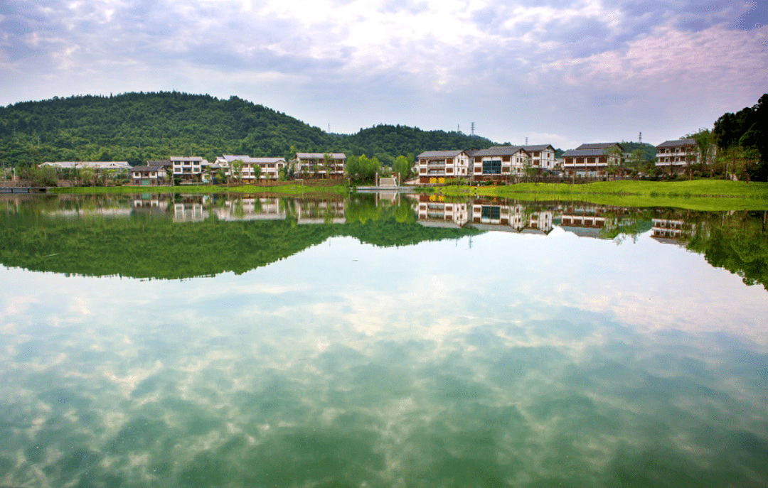 深化全国文明城市建设丨虾子镇:"文明之花"吐蕊绽放