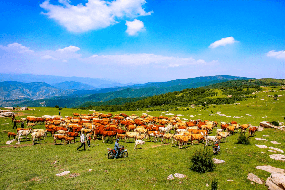 【点赞】山西首届草原风光"沁源花坡杯"摄影大赛获奖作品展播(九)