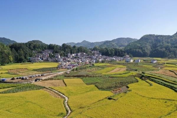 观山湖·在这里:业引富路 美景入画来_井村
