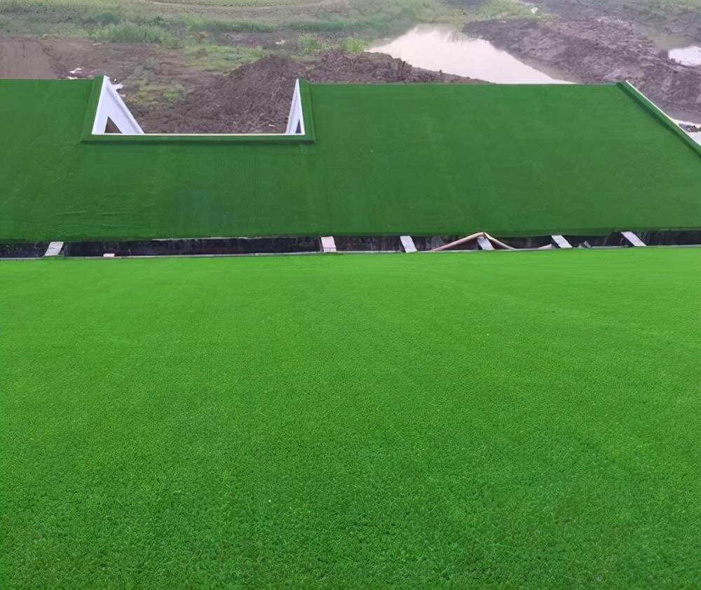 江苏神秘富豪打造全球最大人造草坪生产企业身价109亿