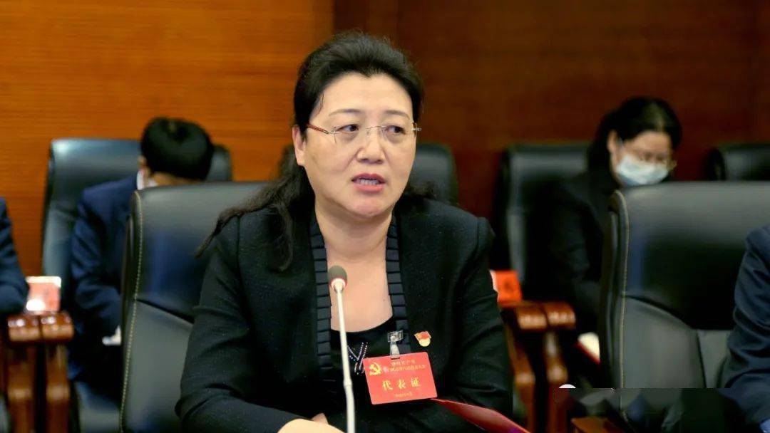 王载文,张晓燕,王清华等参加审议.