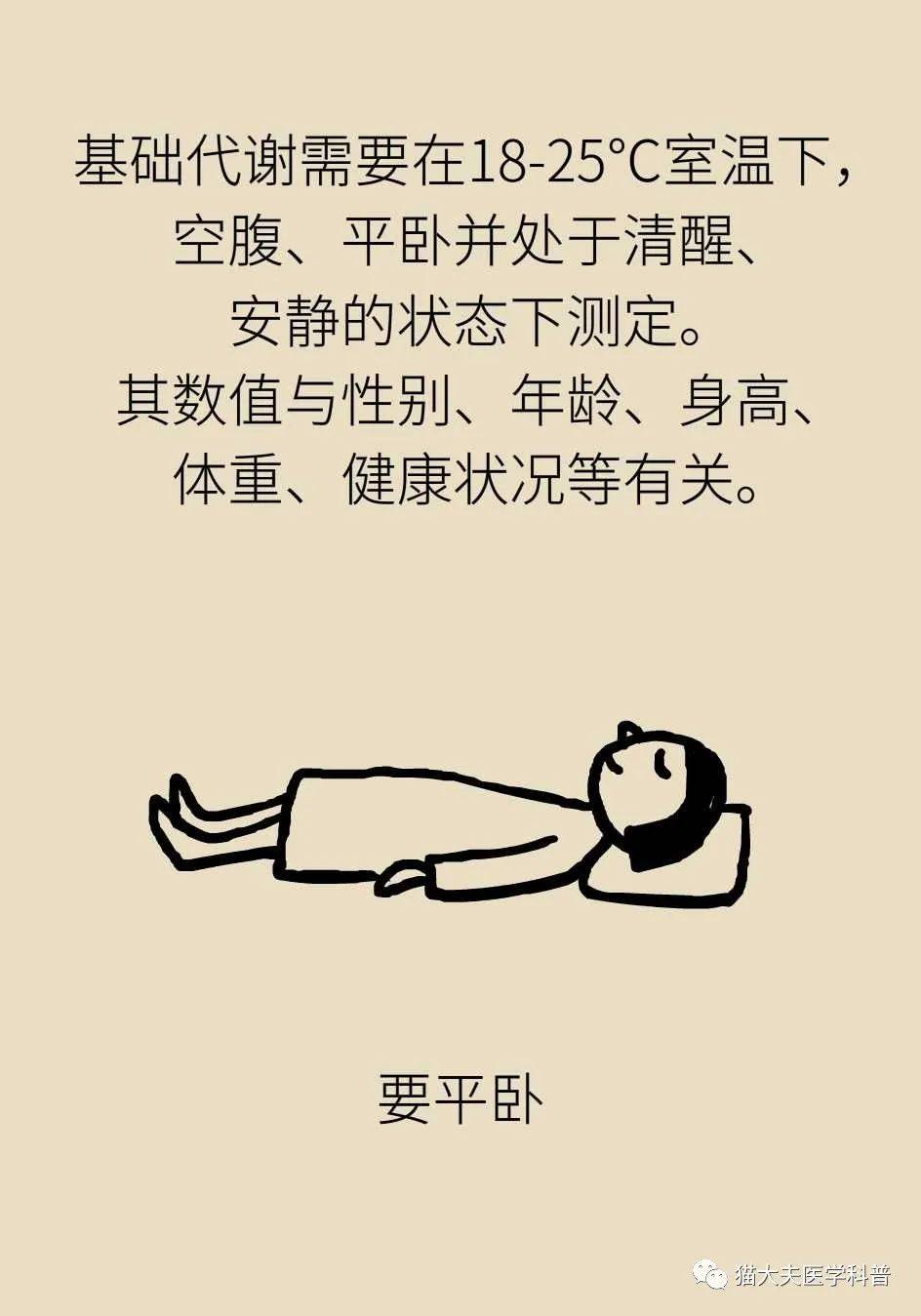 代谢|长胖是因为代谢变慢了？代谢表示不背这个锅