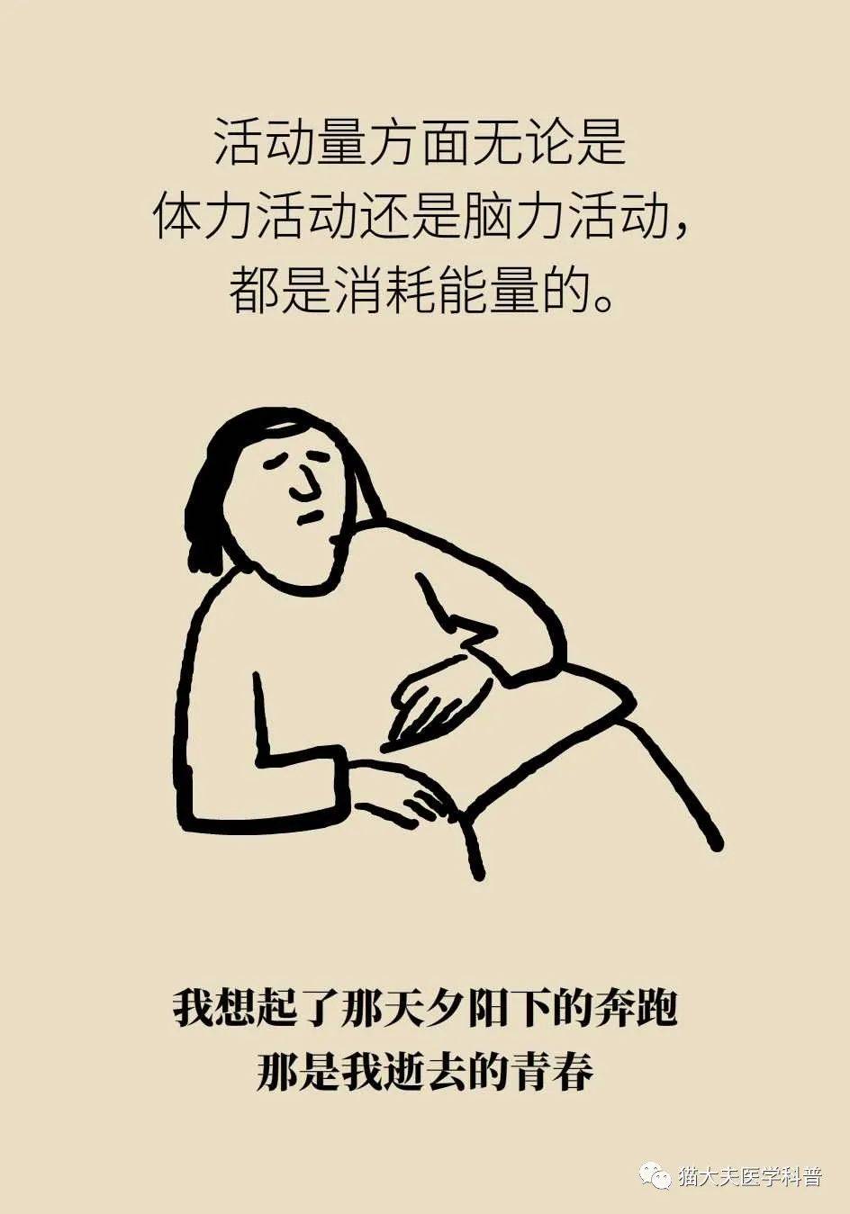 代谢|长胖是因为代谢变慢了？代谢表示不背这个锅