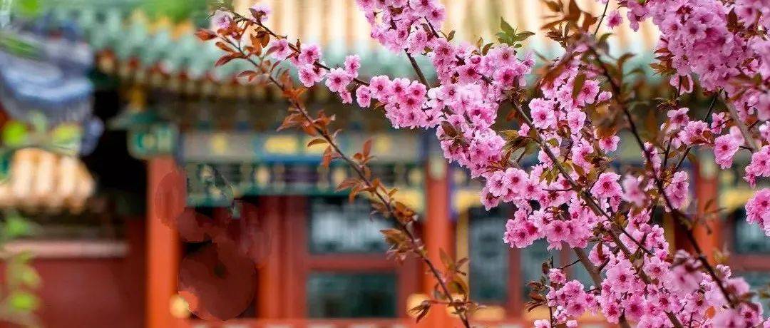 中国传统颜色的雅称，你知多少？_月白