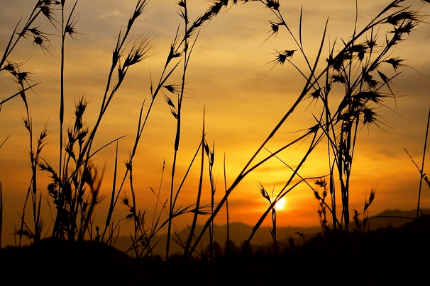 曾延兵:秋日遐思_夕阳