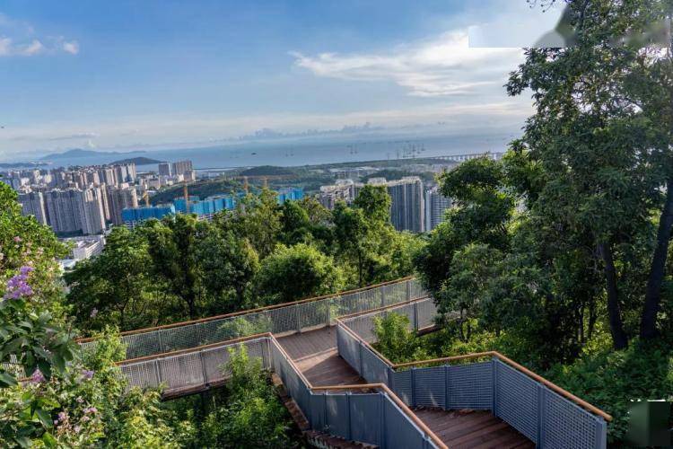 赴约深圳铁仔山公园体验日与夜的浪漫