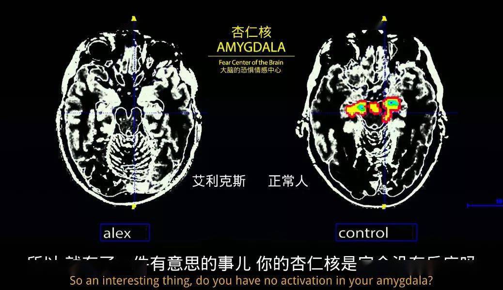 极限|豆瓣8.9，挑战人类的生理极限，全程牛B到无语！