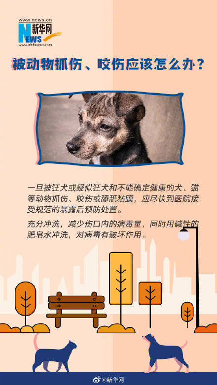 死亡|这些狂犬病常识你一定要了解