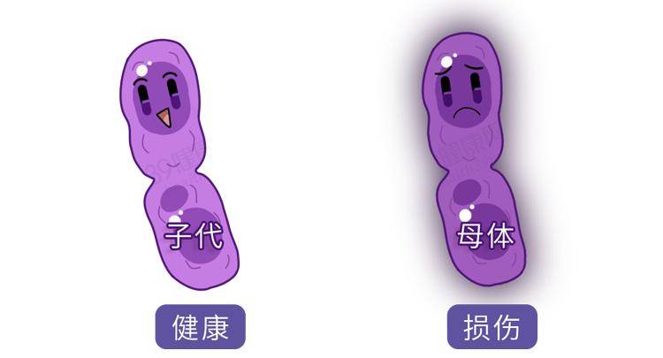 Madden|不想年轻时暴毙，就看看这篇长寿密码