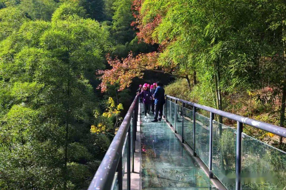 104休闲四明山丨走裘岙玻璃栈道游中村诗意古村漫步赏景吃农家饭