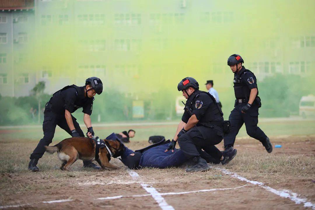 燃多图直击河北公安特警红蓝对抗拉动演练现场