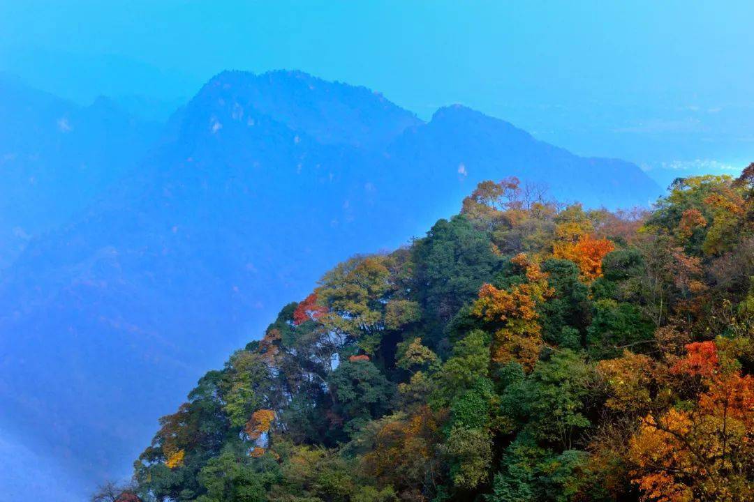 高山和|山水秋色从蓉来！成都最美的初秋时光到来，你细品……