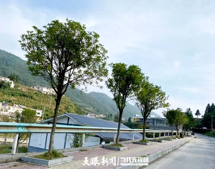 我为群众办实事赫章县安乐溪乡学史力行践初心多为群众办实事