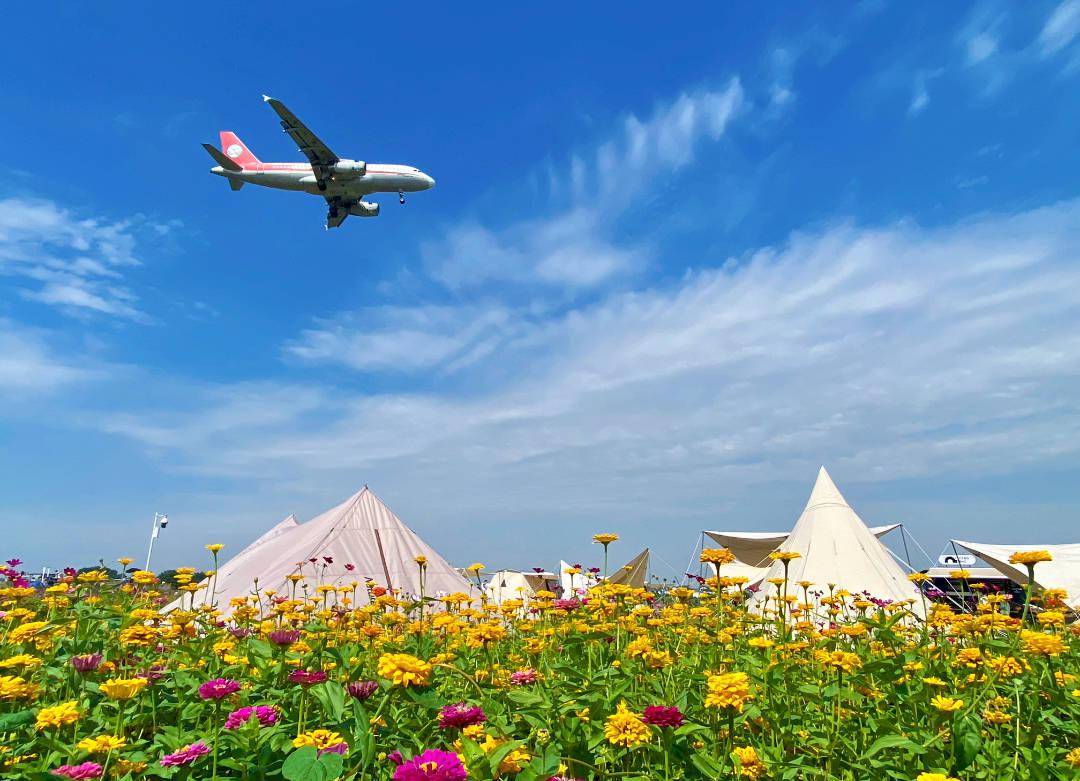 空港花田開啟