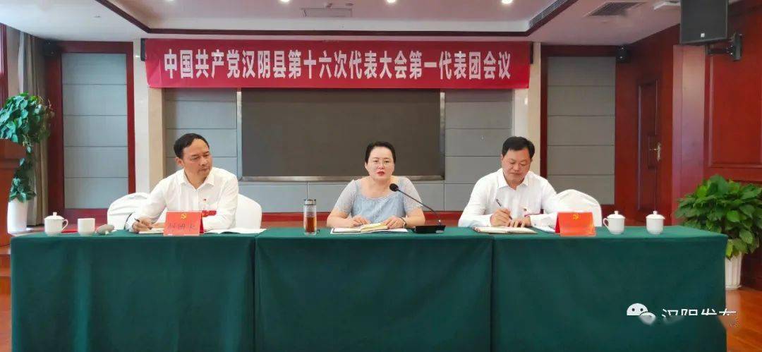 汉阴县委书记刘飞霞参加县第十六次党代表会分团讨论