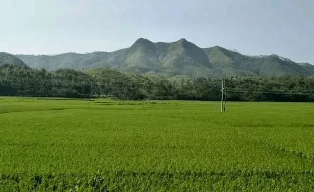 湛江尖山岭图片