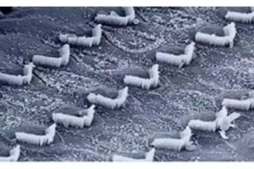 声音|手机音量超标会造成听力损伤，很多人都没注意