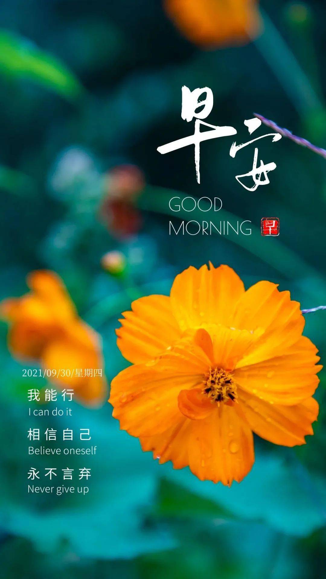 7a152be9e7244e278c67aa0bb0f940e6.jpeg