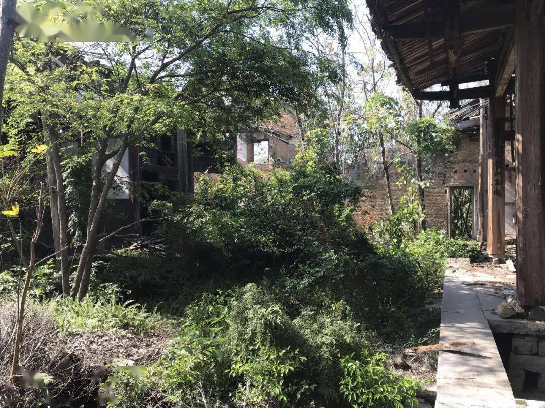 喜讯!新型研究型大学选址地块基本完成房屋拆除