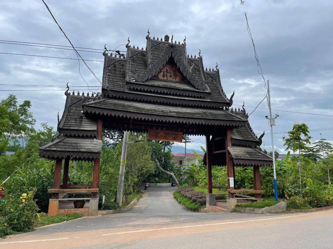 旅游名镇象往的地方中国野象第一镇勐养欢迎您