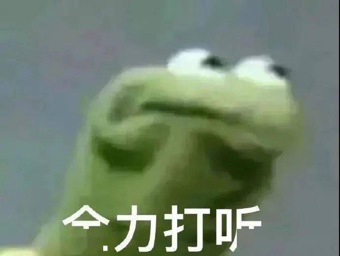 夫妻俩|这对cp又让谁的dna动了？