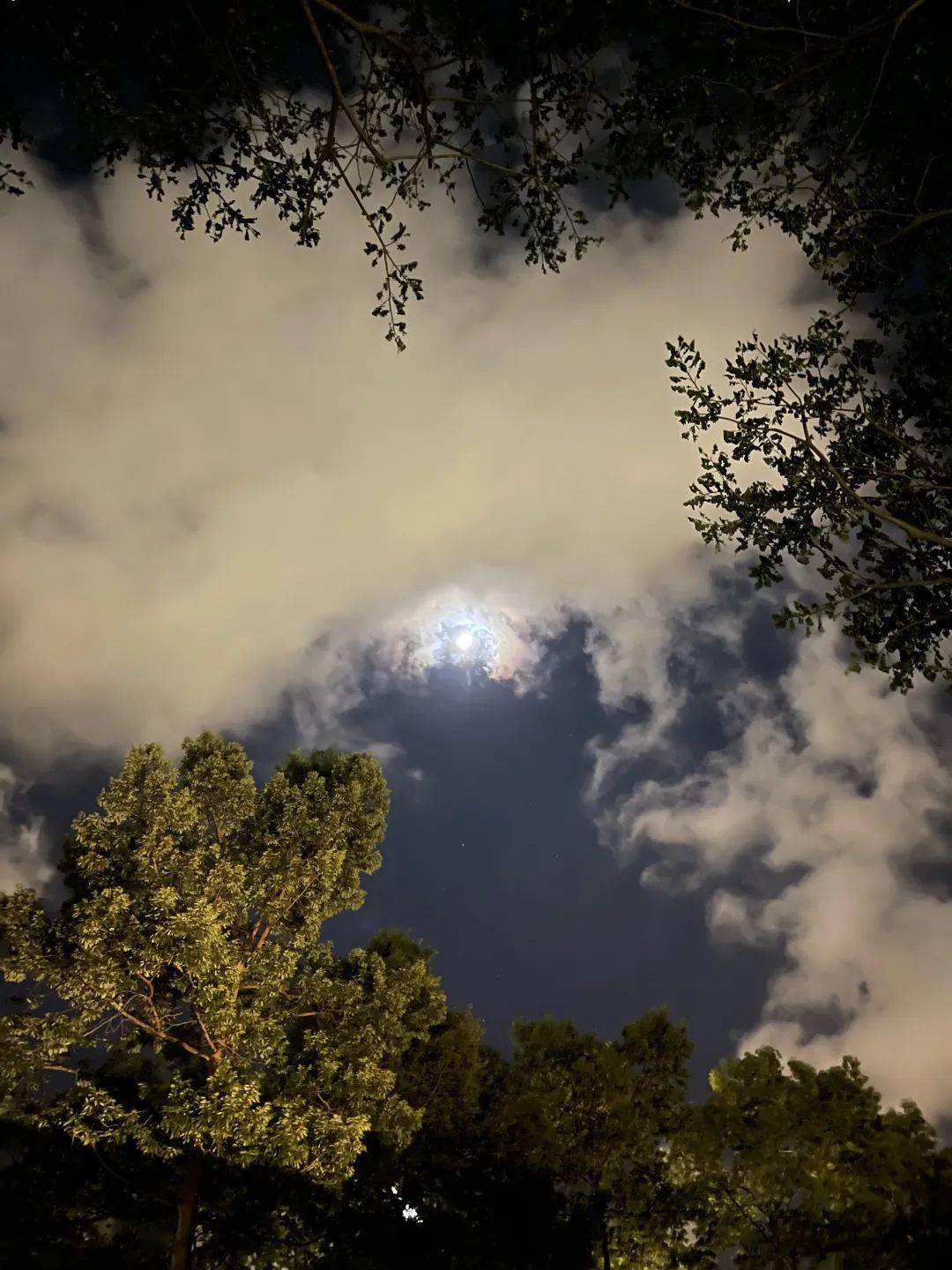 月露风云图片