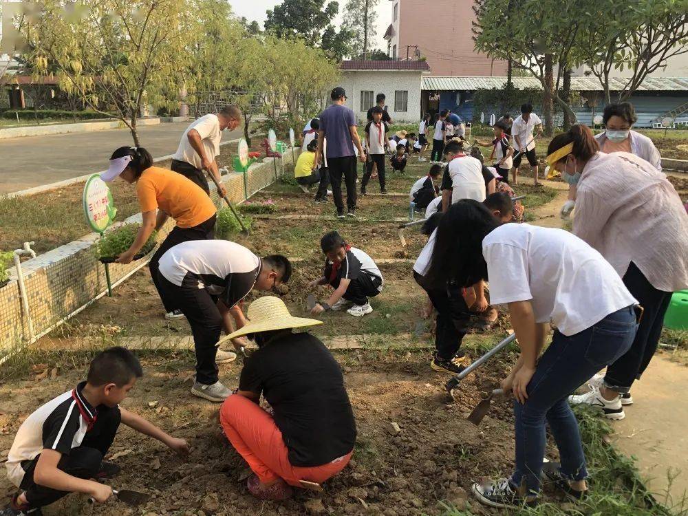 同心種植耕耘希望南沙小學開展勞動基地實踐活動