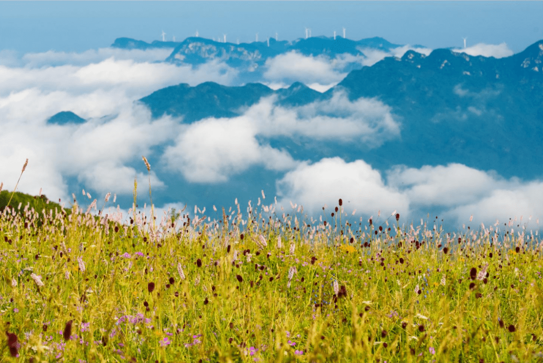 沁源县花坡图片