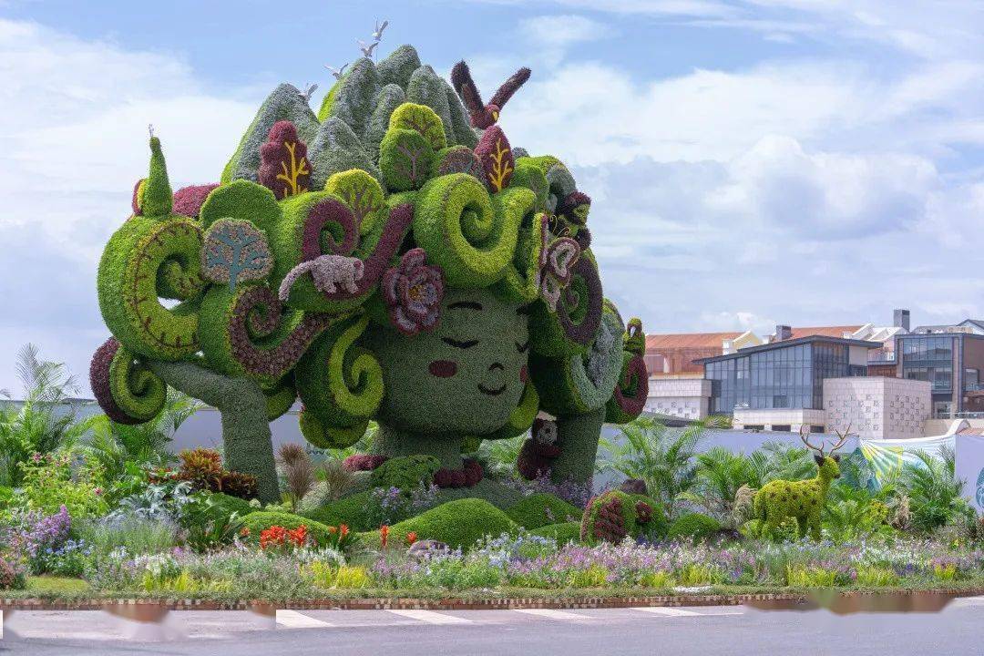 cop倒计时9天!立体花坛扮靓盘龙,美得有点过分