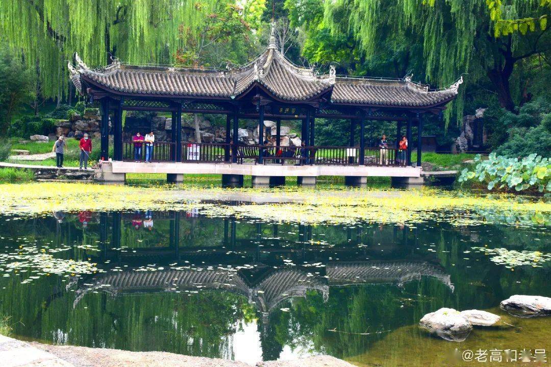 短剧小亭台，免费观看的全新体验，免费观看的全新体验，短剧小亭台