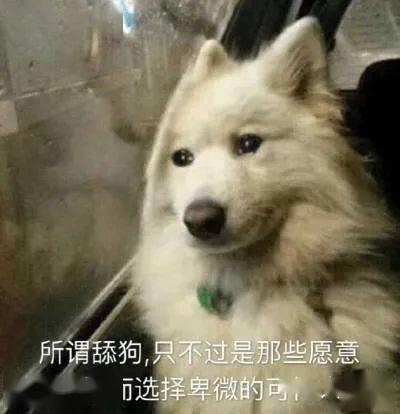 95cb8b9f7a1f40daba337d2f88c202d6.jpeg
