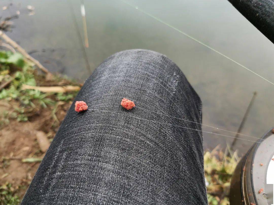 魚鉤和魚線的秘密!瞭解這3種搭配方式,釣起魚來得心應手