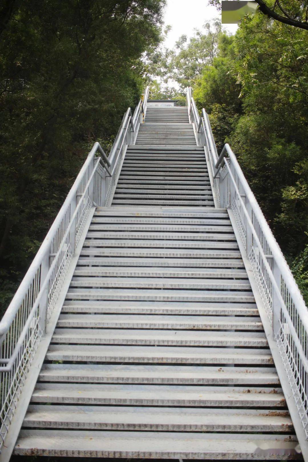 凤山路人行连廊试通行_栈道